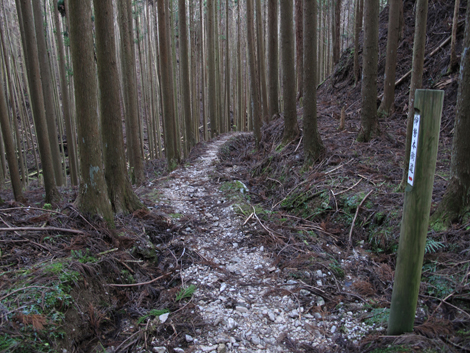 20140105hike (290)